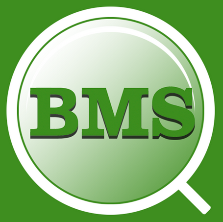 深入相识BMS：探索差别分类的先进产品