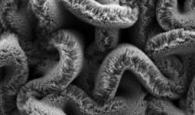 行业新闻：：可拉伸的超等电容器，，为柔性可衣着装备铺路